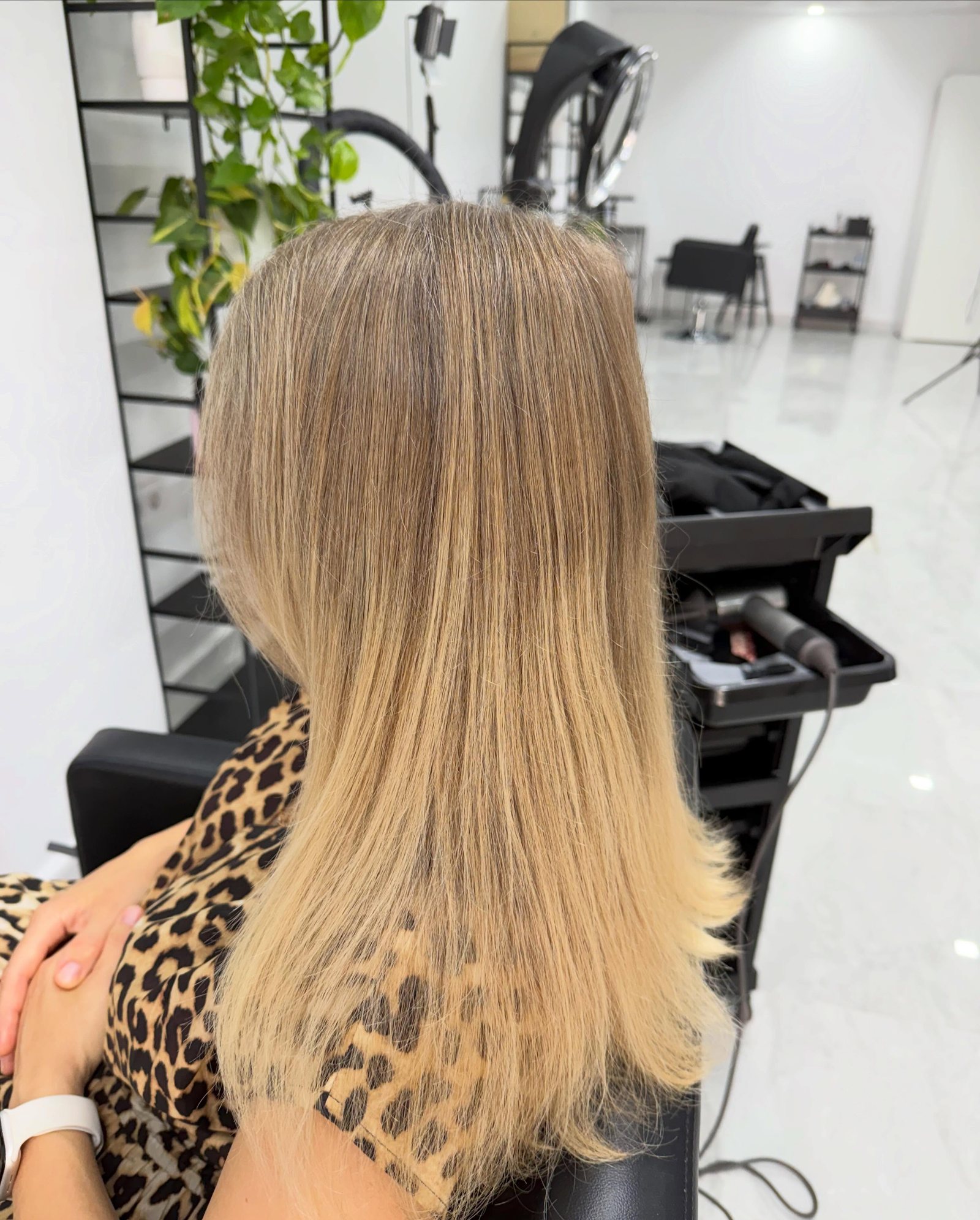 Integración natural de canas — fotografía 3 de 6