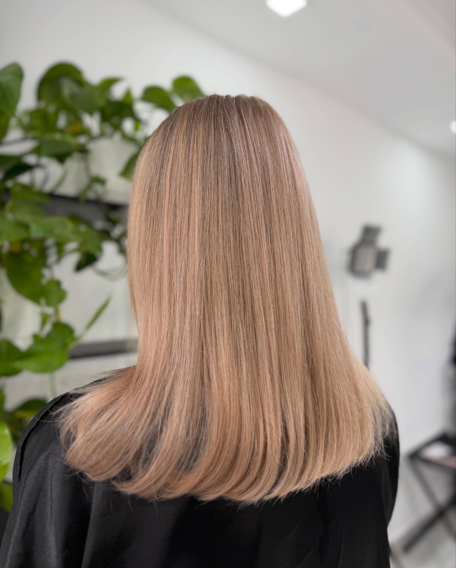 Integración natural de canas — fotografía 4 de 6
