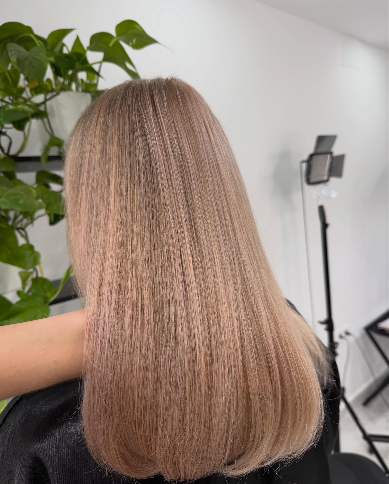 Integración natural de canas — fotografía 5 de 6